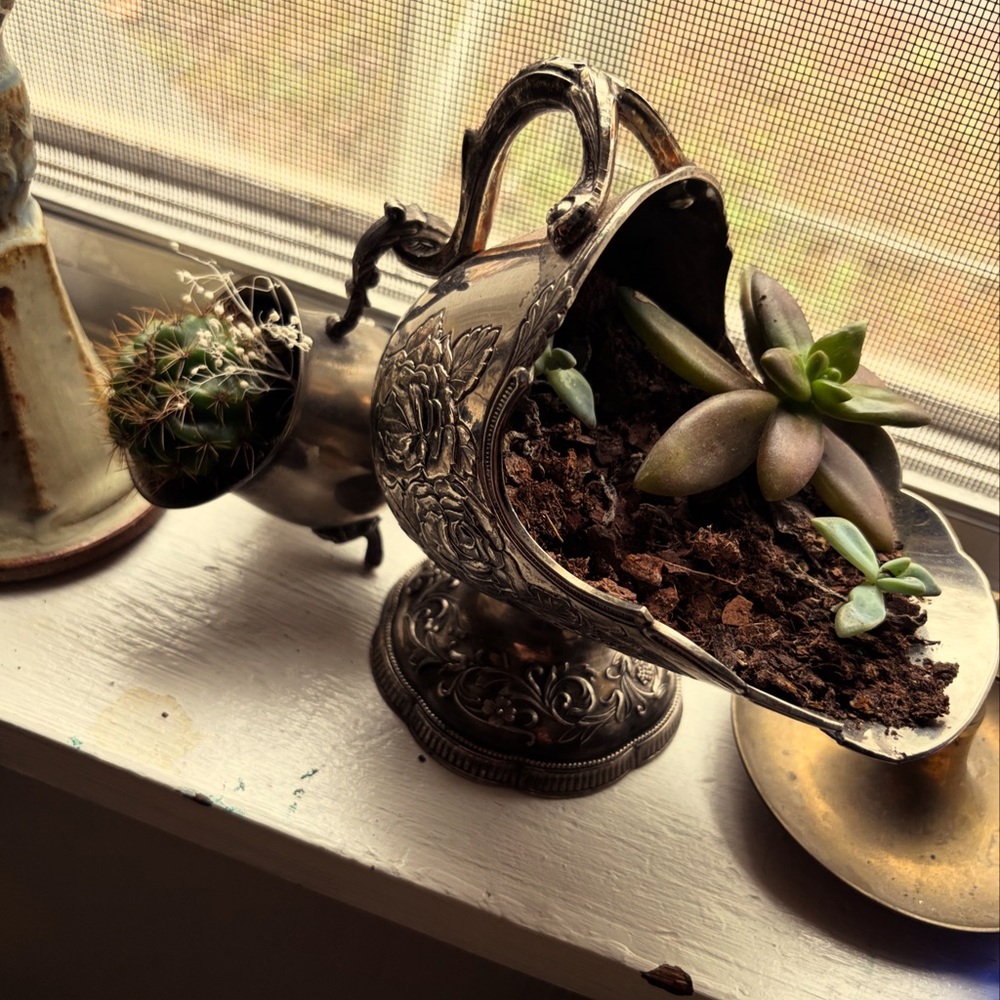 Vintage Silver Planter with Succulents
